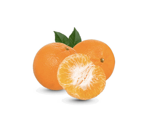 Fresh Orange