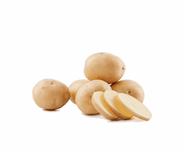 Organic Potato
