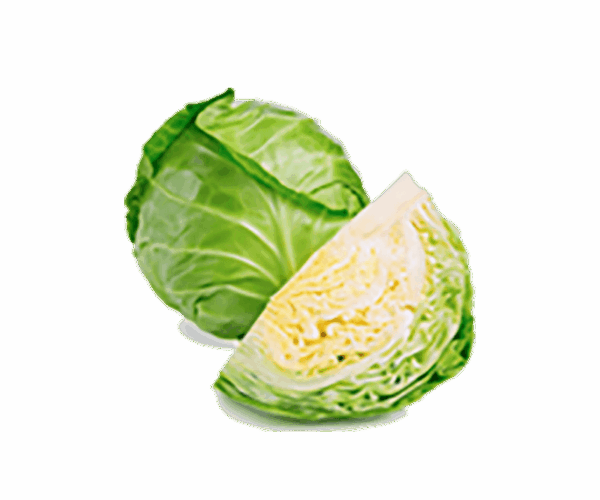 Organic Cabbage